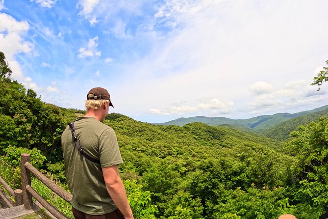 Amami Oshima Mangrove Kayaking, Waterfall and Cape Walking Tour - Exploring Amami Oshima Island