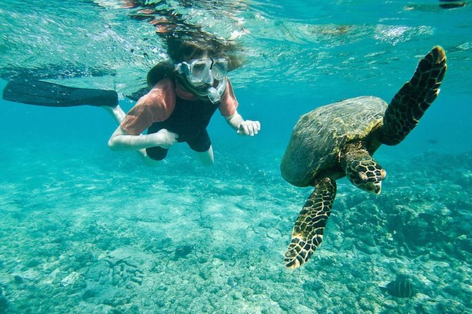 Amazing Snorkeling Experience in Cancun - Snorkeling Locations to Explore