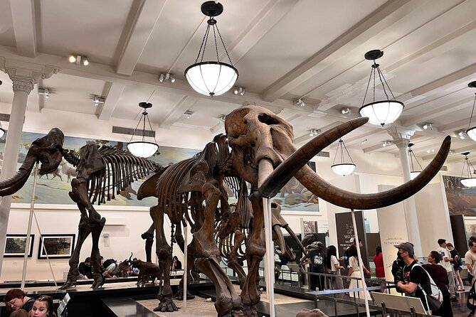 American Museum of Natural History and MOMA Combo Tickets - Accessibility Features
