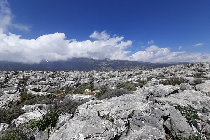 ANOPOLIS-LIVANIANA Roundhike Adventure - Schedule and Cancellation