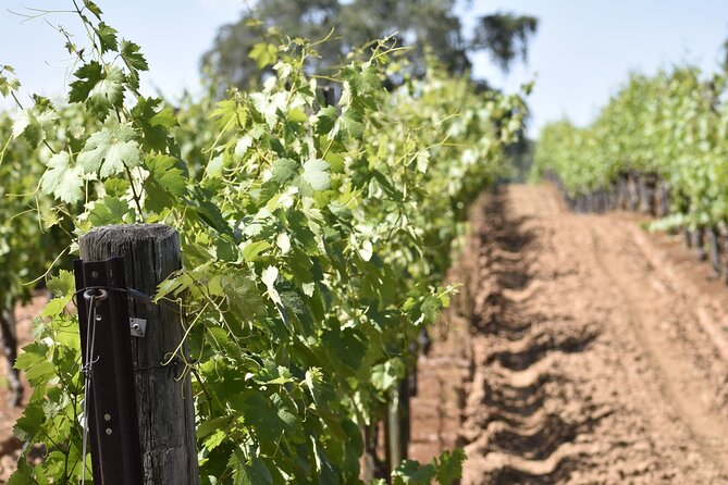 Apple Hill Wine Tasting Tours and Placerville Wine Tasting Tours - Discover Placerville Wine Tasting