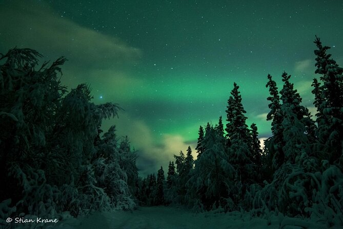 Arctic Adventure: Northern Lights Hunting With Snowmobiles - What to Expect