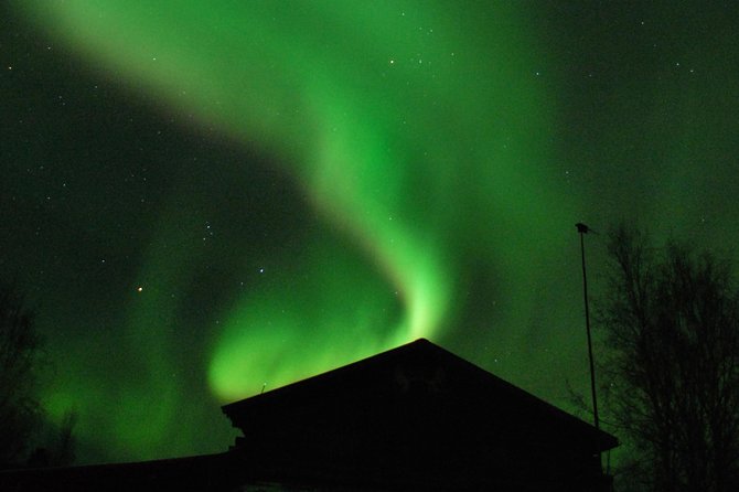 Arctic Circle Aurora Drive Adventure - Guest Experiences and Feedback