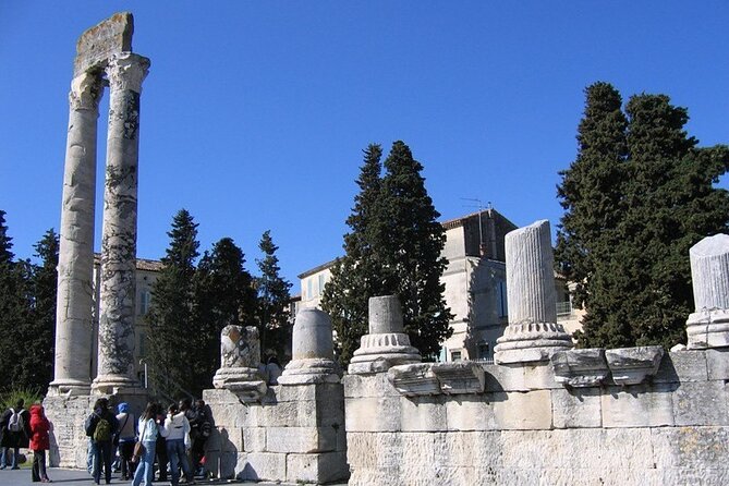 Arles and Les Baux-de-Provence Private Tour - Inclusions and Amenities