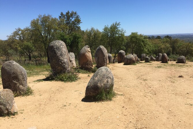 Arrábida & Évora Tour in Mercedes Benz Car or Van - Booking and Cancellation