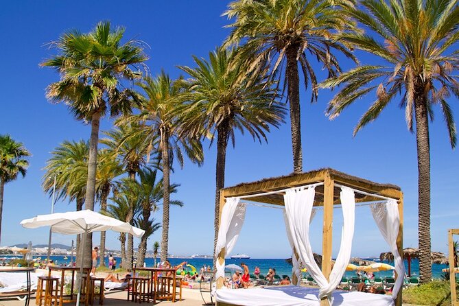 Arrival Private Transfers From Ibiza Airport IBZ to Ibiza in Luxury Van - Ask Away