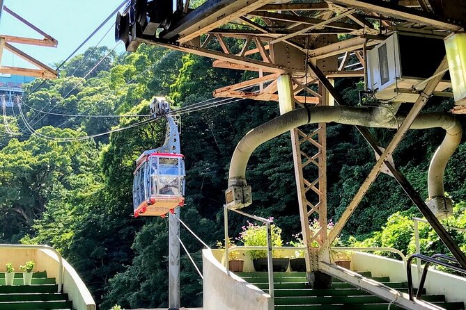 Atami Half-Day Private Tour With Government-Licensed Guide - Accessibility Features