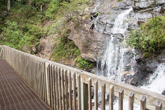 Atlanta to Amicalola Falls Tour Review - Accessibility and Participation