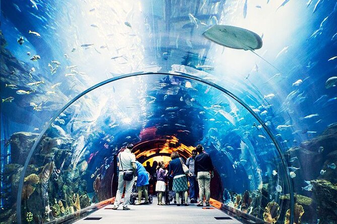 Atlantis Lost-Chamber Aquarium Dubai - Ticket Pricing and Discounts