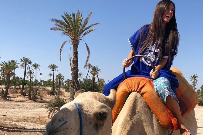 Atlas Mountain & Camel Ride, Day Trip - Detailed Itinerary