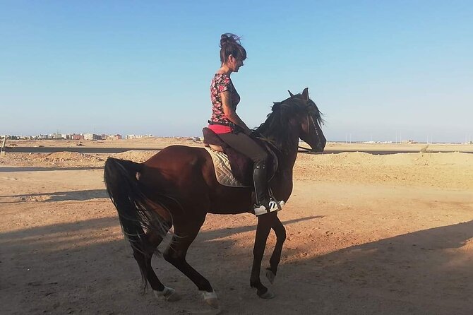 ATV Quad Bike Safari and 1-Hour Horse Riding - Sharm El Sheikh - Safety Measures