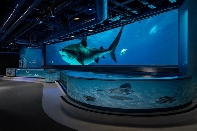 Audubon Aquarium & Insectarium Ticket - Accessibility and Amenities