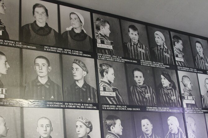Auschwitz-Birkenau and Krakow Private Car Trip From Katowice - Tour Options and Inclusions