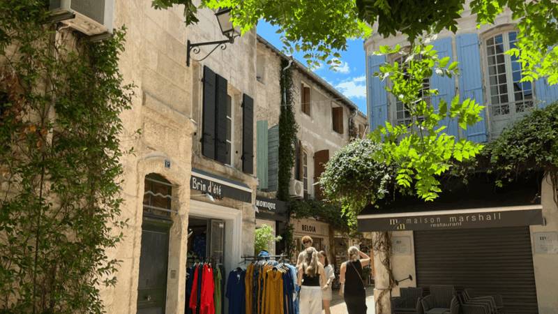 Authentic Provence: Arles, St Rémy, Les Baux-de-Provence - Itinerary Highlights