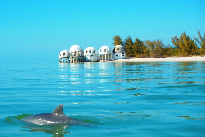 Avis Premium Dolphin Tour by Jet Ski - Jet Ski Details