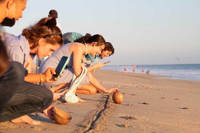Baby Turtle Release Tour + Pick up + Courtesy in Puerto Escondido! - Health and Safety Measures
