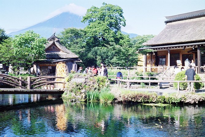 Barrier-Free Private Mt. Fuji Tour for Wheelchair Users - Accessibility Features