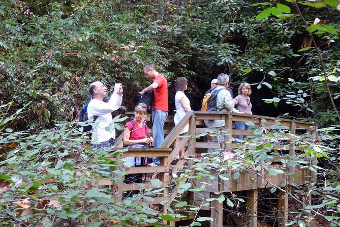 Bartram Trail Hike Plus Wine Tasting - Navigating the Terrain
