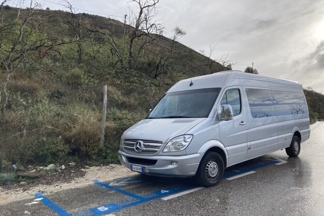 Basel Airport (BSL) Private Transfer to Basel/Zurich - Accessibility and Special Requests