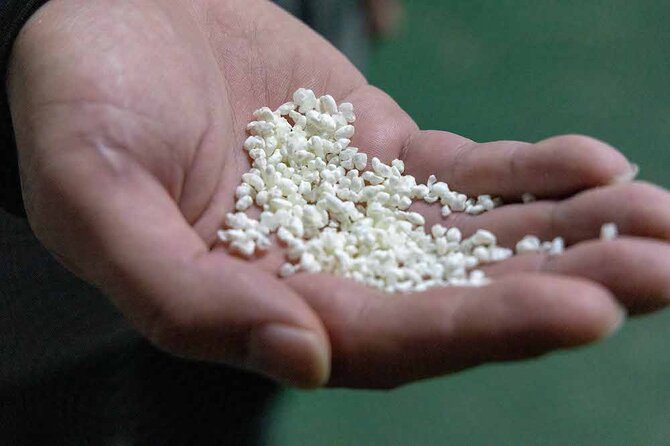 Be a Sake Brewer for a Day!Study Abroad Sake at Amabuki Sake Brewery in Saga - Transportation and Meeting Details