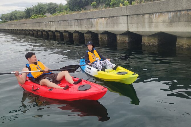Beginner Friendly Stand Up Paddle Boarding Tour in Awaji Island - Inclusions