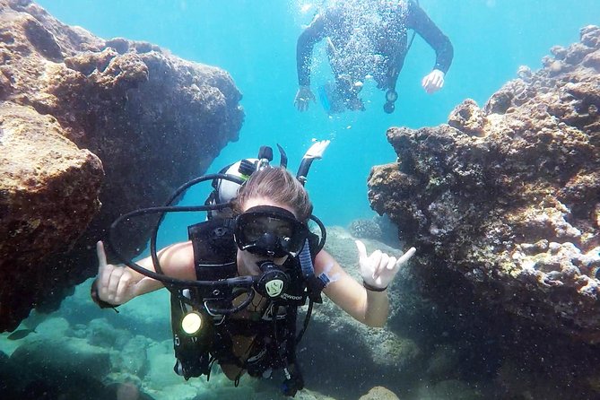 Beginner Scuba Diving Adventure With Videos in Honolulu - Included Features and Gear
