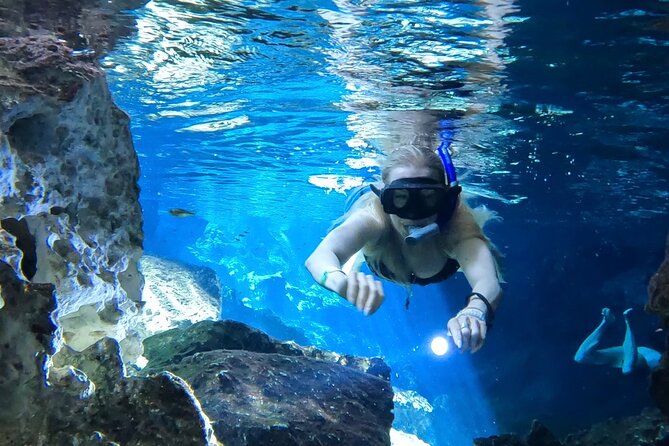 Best in Class: Private Snorkeling Xpedition - Pricing and Booking
