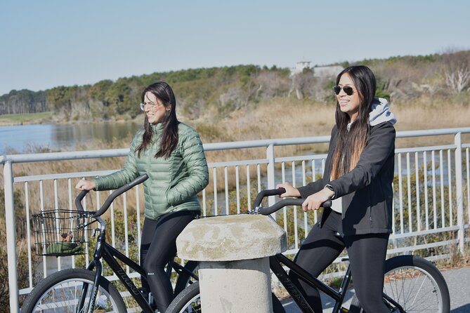 Bicycle Rental From Visitor Center Location at Assateague, MD - Rental Pricing and Inclusions