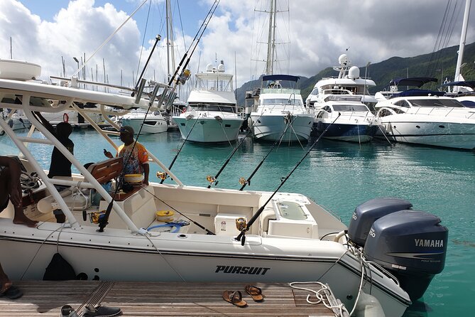 Big Game Fishing a Fishing Charter in Seychelles - Charter Pricing and Options