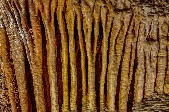 Biggest Caves in Portugal and Fatima Full-Day Private Tour From Lisbon - Tour Schedule