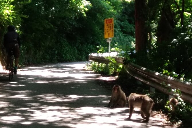 Bike Rentals in Nagano to Explore Snow Monkey Park. - Details on Included Features