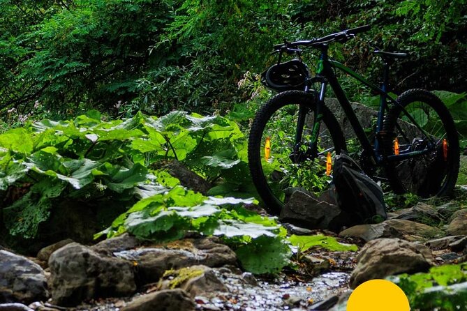 Biking Around the Region of Ohrid - Pickup and Meeting Details