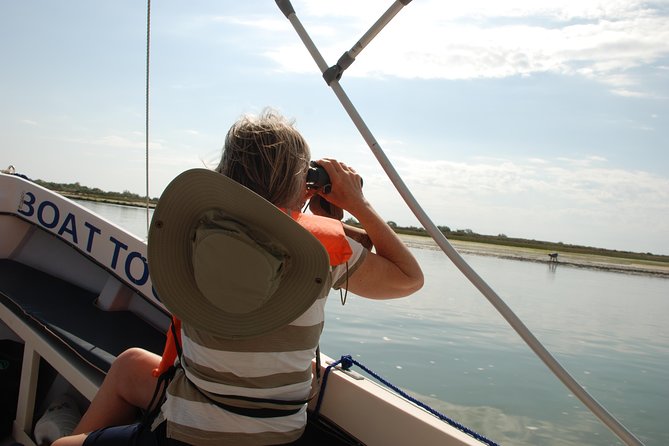 Birding in Tavira and Ria Formosa: Your Nemesis Bird Destination - Self-Guided - Exploring the Ria Formosa Natural Park