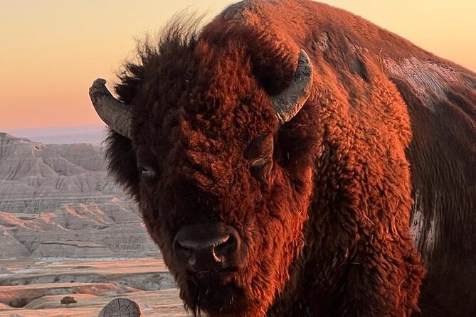 Black Hills Native Culture and History, Dual Guides - Immersive Cultural Experiences