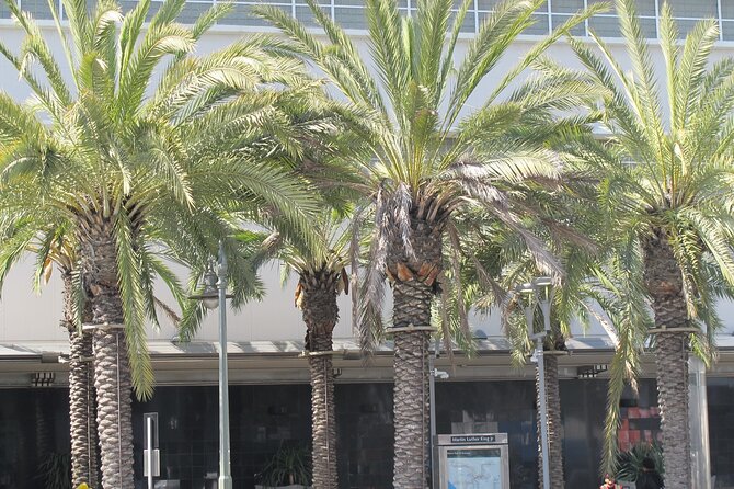 Black History Tours of South LA (Guided Van Tour) - Crenshaw - Tour Duration and Pricing