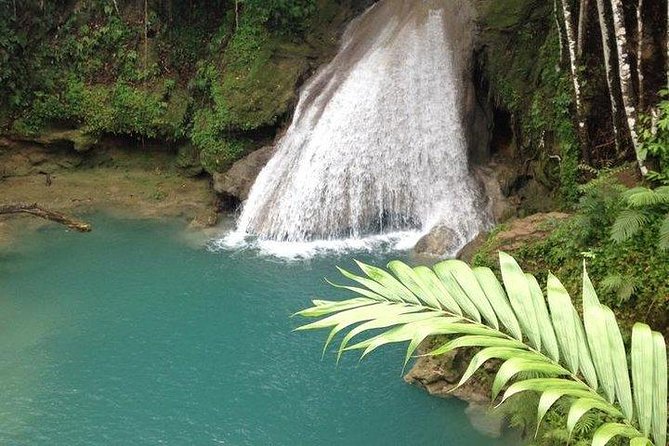 Blue Hole - Turtle Park From Ocho Rios - Inclusions