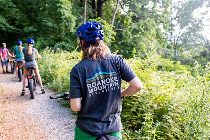 Blue Ridge Mountain E Bike Tour Review - Health and Safety Information