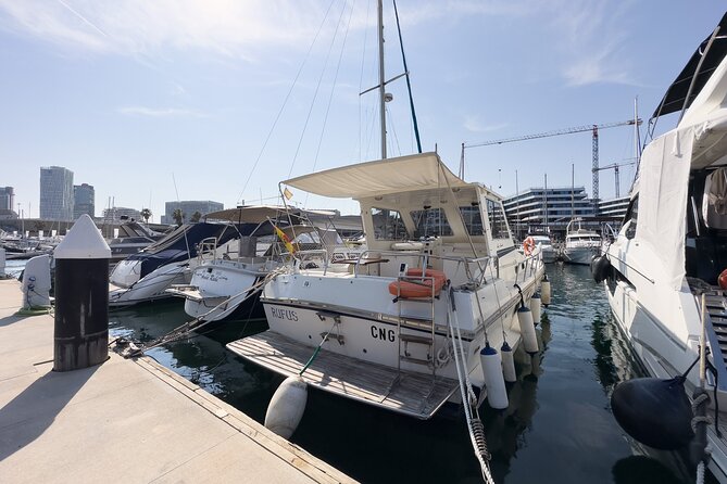 Boat Tour for 2 Hours in Barcelona - Tour Schedule
