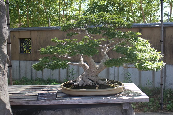 Bonsai Museum & Bonsai Experience - Exploring the Saitama Prefecture Location