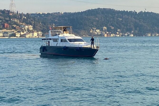 Bosphorus Private 1-Hour Tour on the Boat in Istanbul - Tour Inclusions