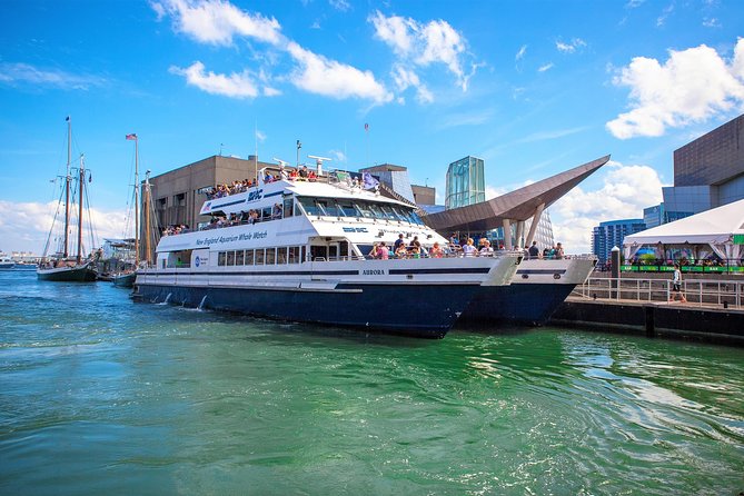 Boston Whale Watching Cruise by High-Speed Catamaran - Meeting and Transportation