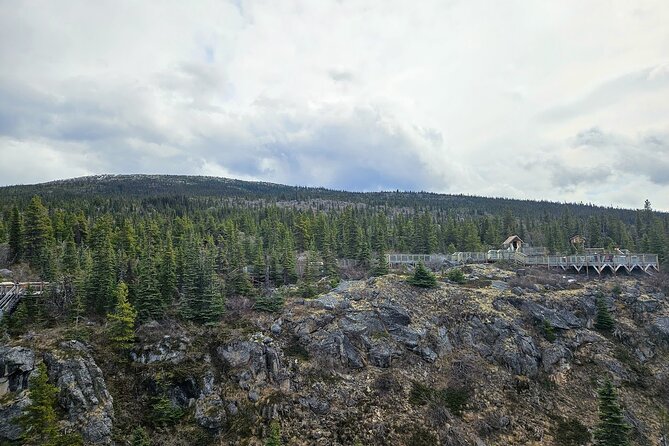Bridge, Puppies, and Summit Triple Combo in Skagway - Yukon Suspension Bridge Experience