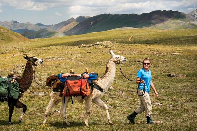 Bridger Teton Llama Treks - Activity Details and Itinerary