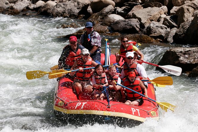 Browns Canyon Full Day Rafting - Professional Guide and Safety Gear