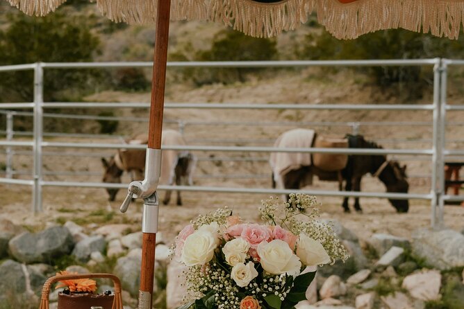 Brunch With Mini Rescue Burros in Southern California - Indulging in a Delightful Brunch Experience