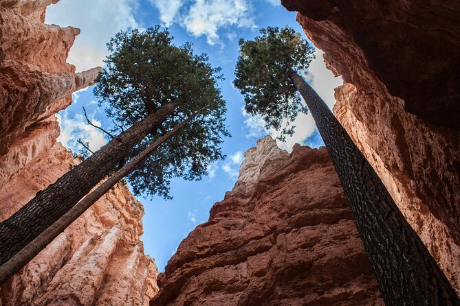 Bryce Canyon Full Day Small Group Tour - Tour Highlights and Itinerary