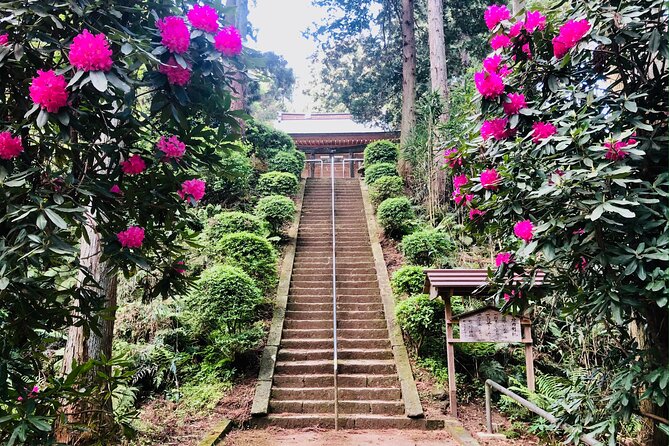 Buddha, Bamboo & Zen - Bespoke Kamakura Private Walking Tours - Meeting and Logistics