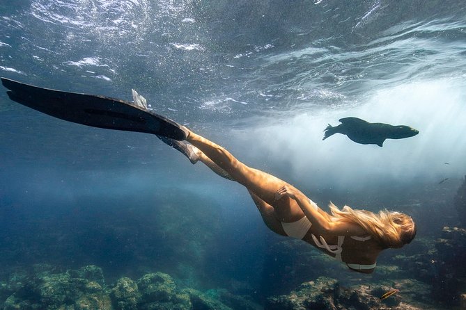 Cabo Wildlife SAFARI - Inclusions and Amenities Provided