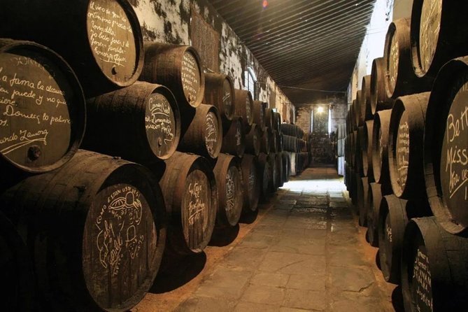 Cadiz Shore Excursion: Jerez & Cadiz Easy Accessible Private Tour & Wine Cellars - Tasting the Renowned Sherry