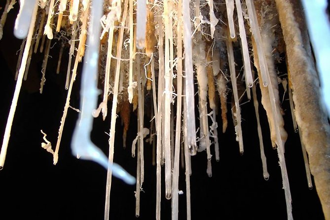 Cagliari Private Shore Excursion: The Beauty of Is Zuddas Caves Experience - Highlights of the Itinerary